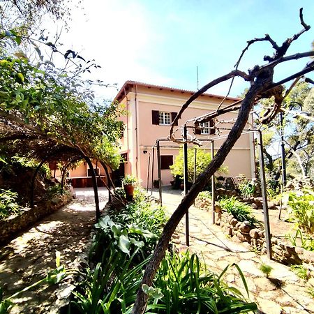 Aragoniteazzurra Casa Vacanza กอนเนซา ภายนอก รูปภาพ