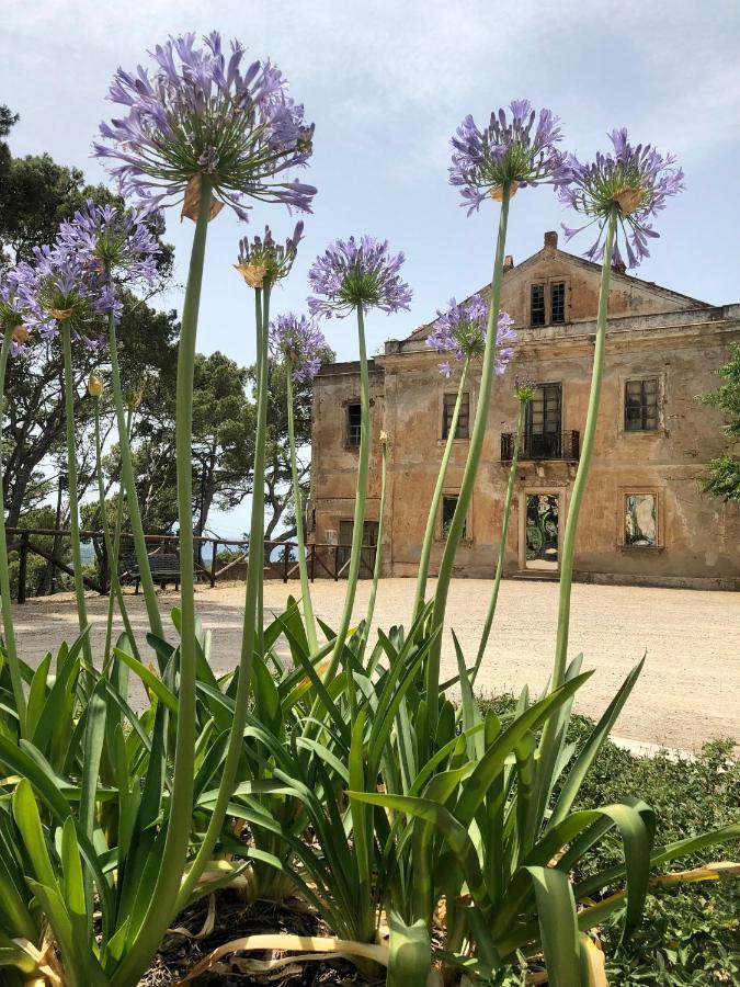 Aragoniteazzurra Casa Vacanza กอนเนซา ภายนอก รูปภาพ