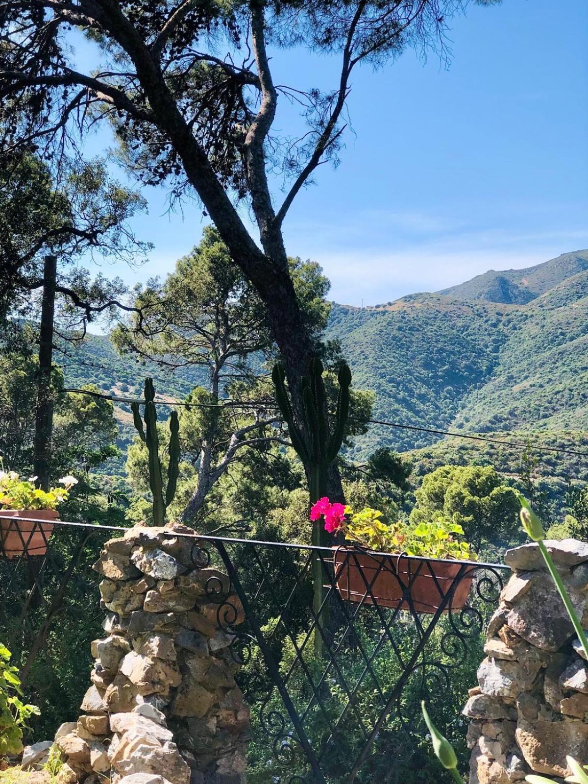 Aragoniteazzurra Casa Vacanza กอนเนซา ภายนอก รูปภาพ