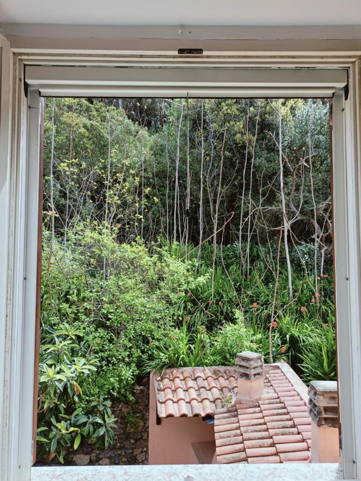 Aragoniteazzurra Casa Vacanza กอนเนซา ภายนอก รูปภาพ